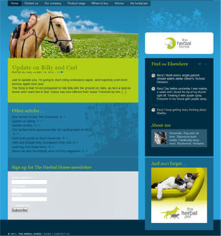 Wordpress websites can give a lot of bang for buck
